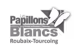 Les Papillons Blancs
